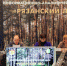 На базе информационно-аналитического центра «Рязанский лес» состоялось совещание по вопросам изменения законодательства Российкой Федерации в области обеспечения безопасности гидротехнических сооружений - Министерство лесного хозяйства