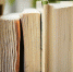 Рязанцам предложили передать книги в сельские школы - Rzn.Info