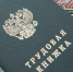 Минтруд упрощает правила ведения трудовых книжек - Рязань Вести