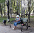 В Новомичуринске продолжат благоустраивать парк - ИА МедиаРязань
