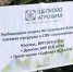 поле1 - РИА 7 Новостей