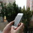 Рязанку оштрафовали за кражу «iPhone» - Rzn.Info