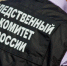 В Рязанской области по размещенному в СМИ сообщению о попытке толкнуть коляску с ребенком под автомобиль организована доследственная проверка - Следственный комитет