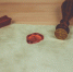 Законно ли оставлять без наследства несовершеннолетних детей? - РИА 7 Новостей