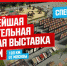 Новый выпуск блога Романа Соловова расскажет о крупнейшей строительной выставке, работающей в Рязани - Rzn.Info