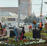 В Рязани высадят свыше 350 тысяч цветов - ИА МедиаРязань