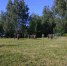 IMG20190605164341 - Рязанская епархия