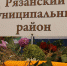 1.JPG - Рязанский МР
