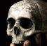 cropped-cherep-ruka-smert-min.jpg - РИА 7 Новостей