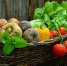 vegetables-752153_960_720 - РИА 7 Новостей