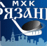 МХК «Рязань» обрёл группу в соцсети «ВКонтакте» - ИА МедиаРязань