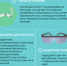10 октября - Всемирный день зрения - Роспотребнадзор