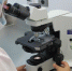 microscope-1817641_960_720 - РИА 7 Новостей