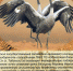 тобольск1 - Mediusinfo.ru