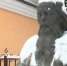 Сегодня — 195 лет со дня рождения Михаила Салтыкова-Щедрина - ГТРК ОКА