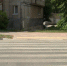 В Рязани появились пешеходные переходы нового образца - ГТРК ОКА