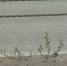 Рязанцы жалуются на нечищеные дороги - ГТРК ОКА
