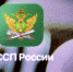 Мобильное приложение «ФССП» - Ryazan.Life