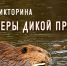Онлайн-викторина «Инженеры дикой природы» - Библиотека им. Горького