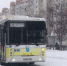 «УРТ» планирует закупить 16 автобусов - ProGorod62.Ru