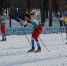 Первенство Рязанской области по лыжным гонкам среди ДЮСШ, СШ, СШОР и отделений лыжных гонок - Министерство физкультуры и спорта