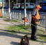 В областном центре продолжаются сезонные работы по благоустройству - Администрация города