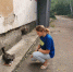 Молодёжь ЛДПР: братьям нашим меньшим нужна забота и защита - ЛДПР