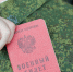 Госдума планирует принять закон об аресте военных без суда в ходе мобилизации - ProGorod62.Ru
