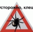 В лесах Рязанской области активизировались клещи - РИА 7 Новостей