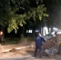 image-m4id52847 - Рязанские ведомости