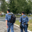 Наконец-то бабье лето и +20 градусов: россиян порадовали теплом и солнцем - ProGorod62.Ru