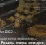 «Старая Рязань: вчера, сегодня, завтра»: программа конференции - Музей-заповедник Рязанский кремль