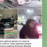 На дворе глава, у главы госномера - Vidsboku.Com