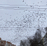 2023-12-04 16.00.57 - Рязанские ведомости