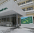 Сосновый бор Фото Королева13 - Рязанские ведомости