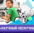 Рязанские школьники могут принять участие в конкурсе детских и молодежных изобретений «Научный-нескучный» - Администрация города