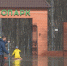 Рязанские сапсёрферы покоряют Лесопарк - ГТРК ОКА