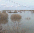 Пик половодья пройден: вода начала постепенно уходить - ГТРК ОКА