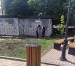 Крысы в городе