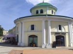 Крысы в городе