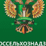 Специалисты Россельхознадзора проверили в Рязани точки продажи шаурмы - RyazPressa.Ru