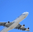Аналитика ВТБ: на что россияне тратят «авиакешбэк» - ProGorod62.Ru