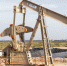 Новак назвал текущие цены на нефть комфортными для бюджета России - Global-Ryazan.Ru