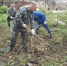subbotnik_osen_Foto_Astafyeva - Рязанские ведомости