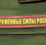 Начальник центра медэкспертизы рассказала о высоком уровне образованности и тревожности рязанских призывников - РИА 7 Новостей