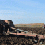 Старожиловские земледельцы собрали более 150 тысяч тонн зерна - RyazPressa.Ru