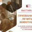 Призвание – лечить животных - Библиотека им. Горького