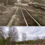Рязанский фотограф показал, во что превратилась станция узкоколейки - Ya62.Ru