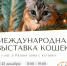 В Рязань приедут удивительные эльфы - Комсомольская Правда