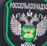 Россельхознадзор в январе 2025 года провел более 180 проверок в точках общепита Рязанской области - RyazPressa.Ru